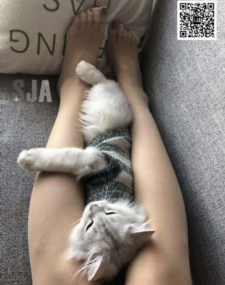 国产黄色www_BD韩语电影全集观看